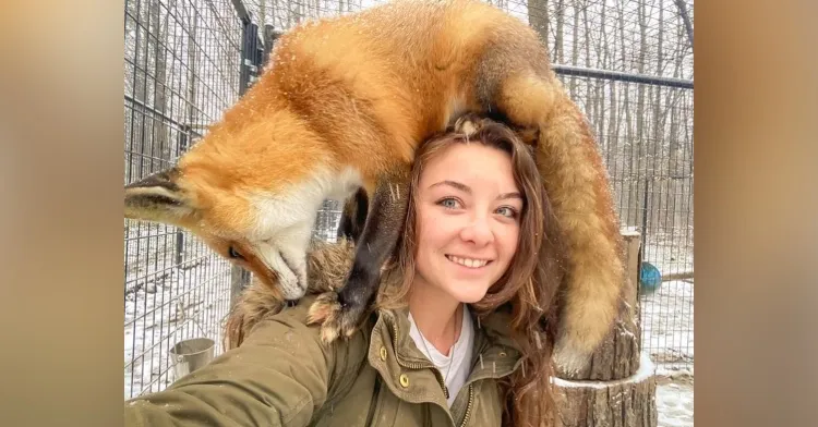 Kimberly — Founder, Arctic Fox Daily Wildlife Rescue